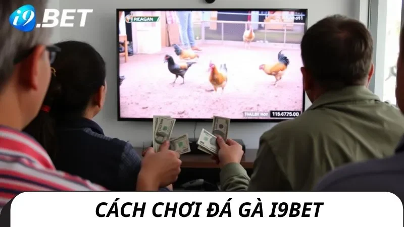 Cách chơi đá gà i9bet và mẹo cược nhỏ hữu ích