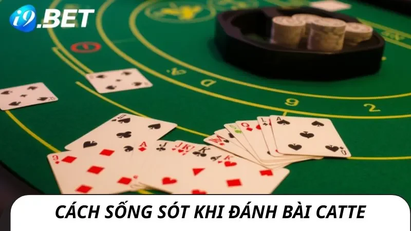Cách sống sót trong luật đánh bài catte