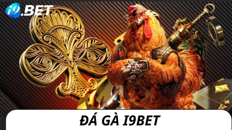Đá gà i9bet