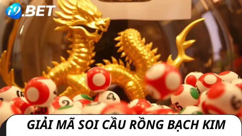 Cùng i9bet khám phá soi cầu rồng bạch kim