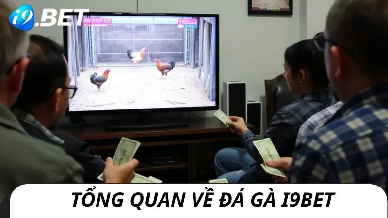 Tổng quan về đá gà i9bet