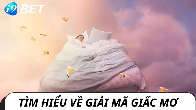 Giải mã giấc mơ nhận nhiều săn đón ở i9bet